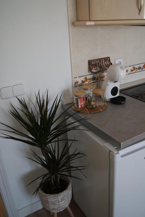 Apartamento Penas Blancas, Junto A Ruta De Los Cahorros, Monachil. Eksteriør billede